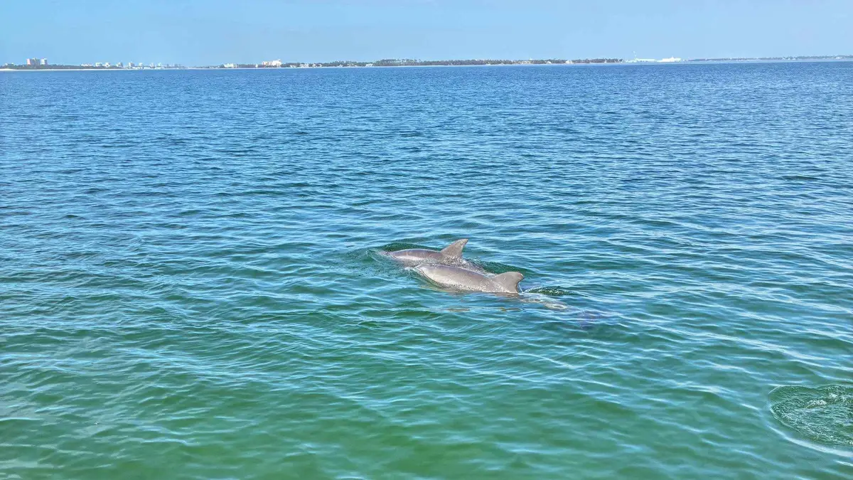 A party catamaran with guests on a Shell Island dolphin tour with snorkeling from Panama City Beach, Florida
